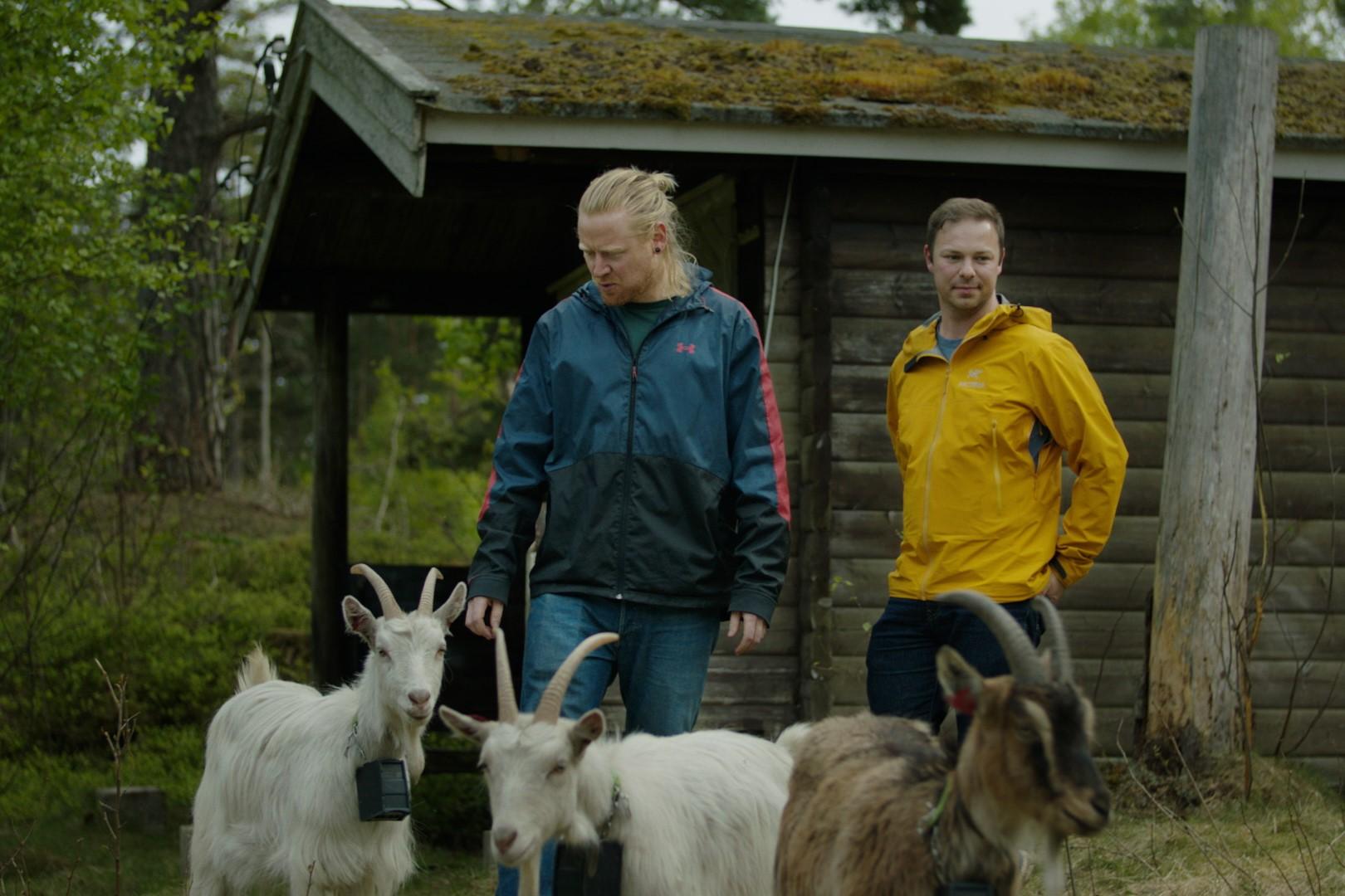 Bendik og Kenneth står foran et tømmerhus sammen med tre geiter