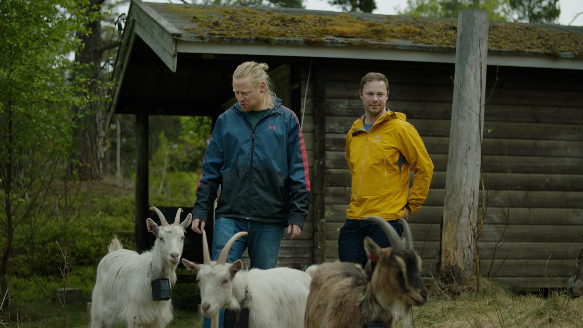 Bendik og Kenneth står foran et tømmerhus sammen med tre geiter