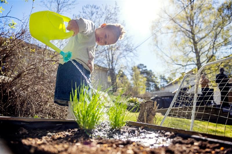 Barn vanner planter i en hage med en grønn vannkanne