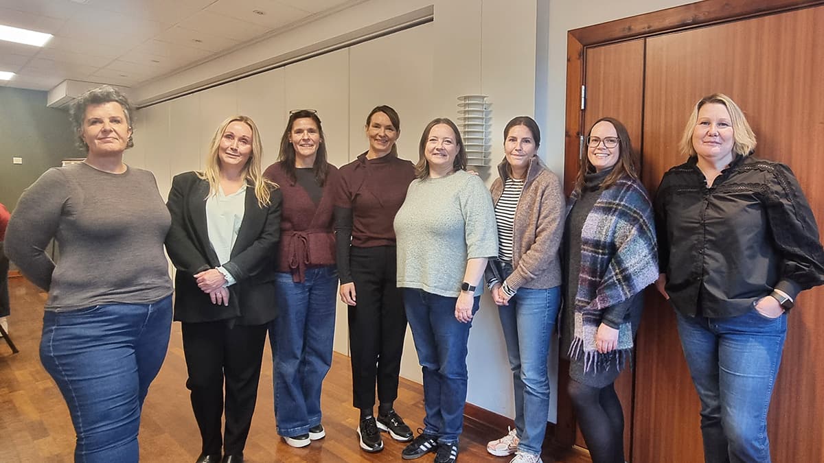 De ansvarlige for implementeringen står samlet på møterommet