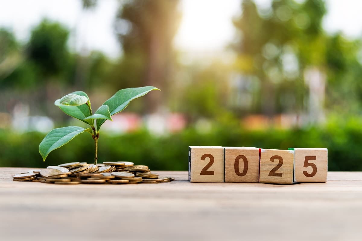 bilde av mynter rundt en grønn plante, ved siden av står fire treklosser med tallene 2025 på