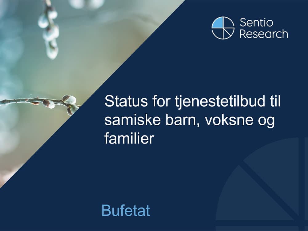 Skjermbilde fra rapport
