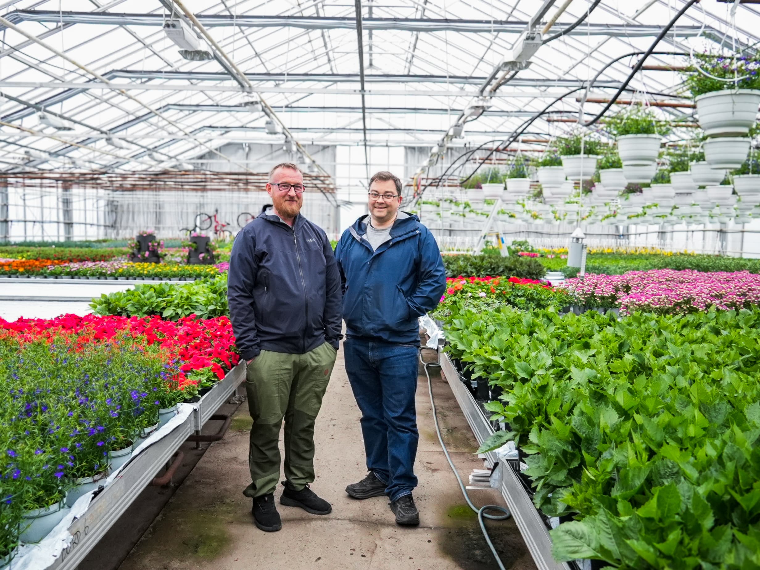 To menn står inne i et drivhus, omgitt at grønne planter